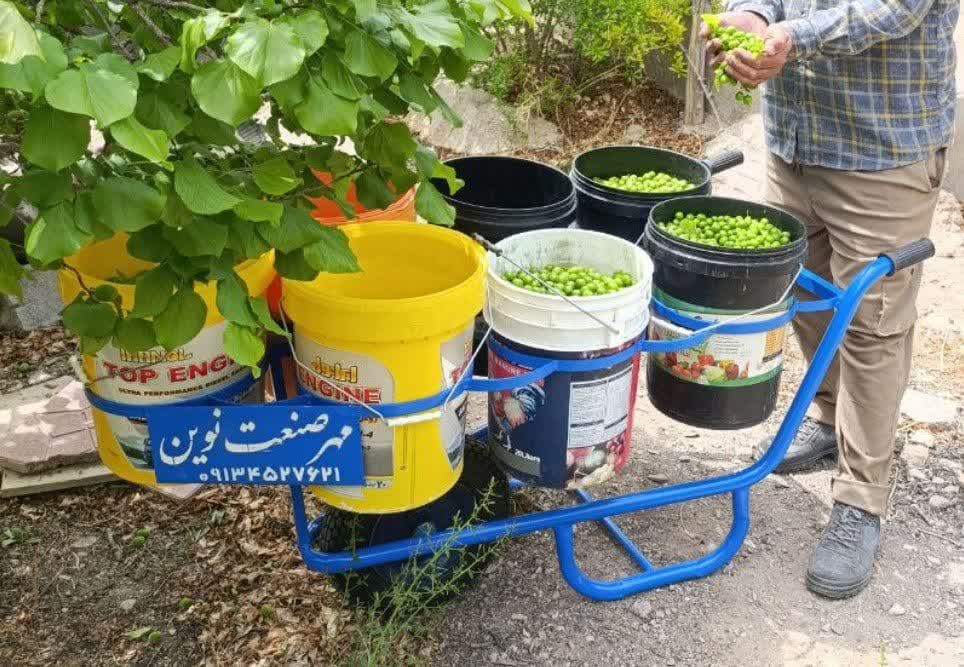 خرید و قیمت فرغون جمع آوری میوه فرغون سطلی